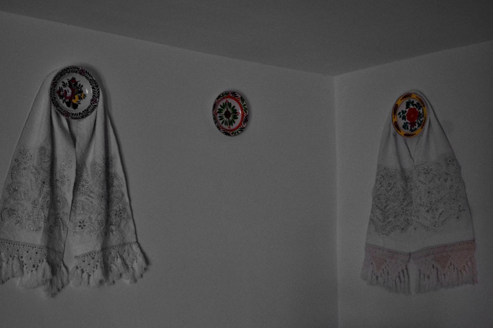 Country house Casa Visovan *